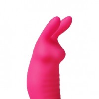 APP Compatible Wearable Vibrator, 12 Function, Clitoral & G-Spot Rabbit, w/Remote Control, Rechargeable, PINK